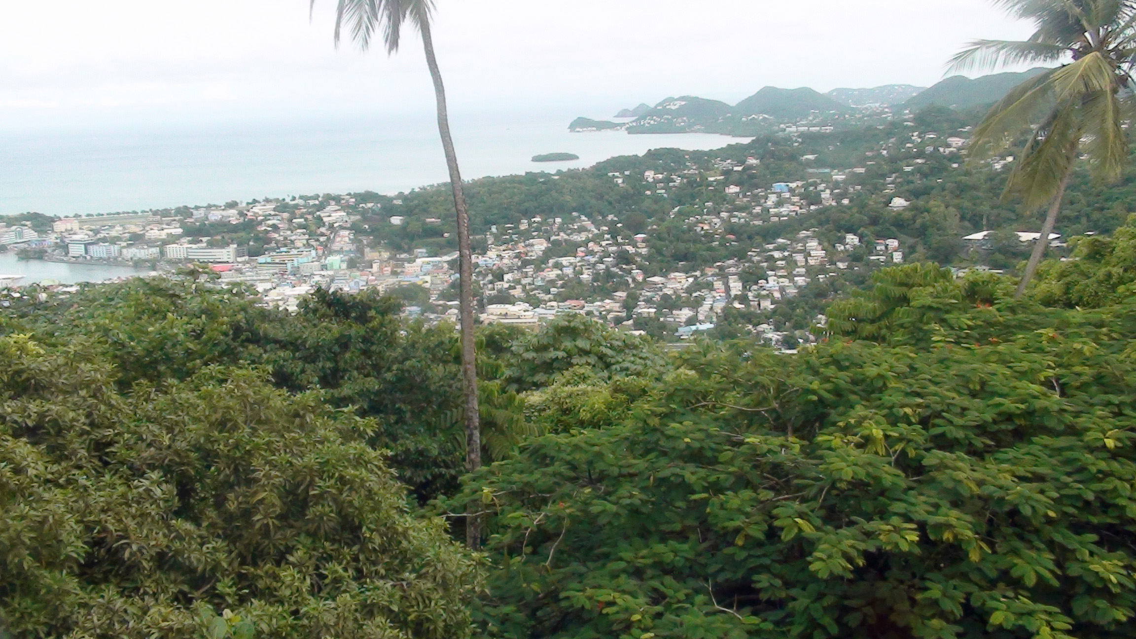 View over St Lucia